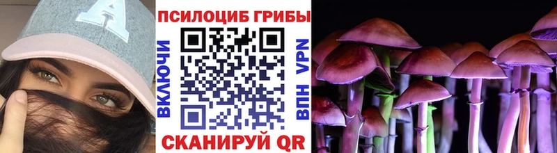 Псилоцибиновые грибы прущие грибы  Чёрмоз 